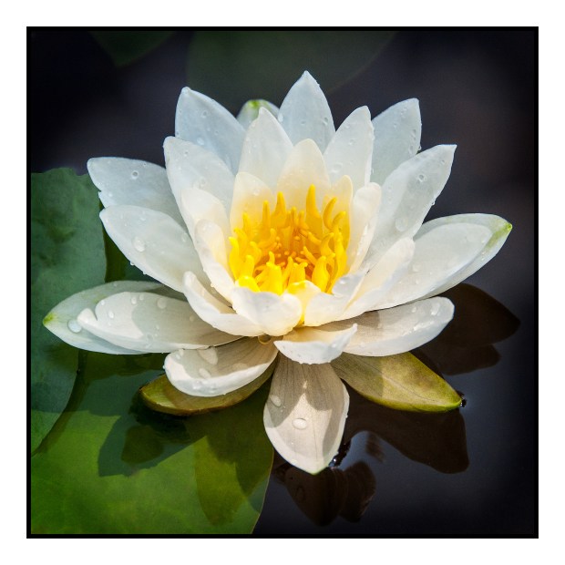 A symbol of Love, Ontario Lakes, Canada. Photo Roberto Portolese