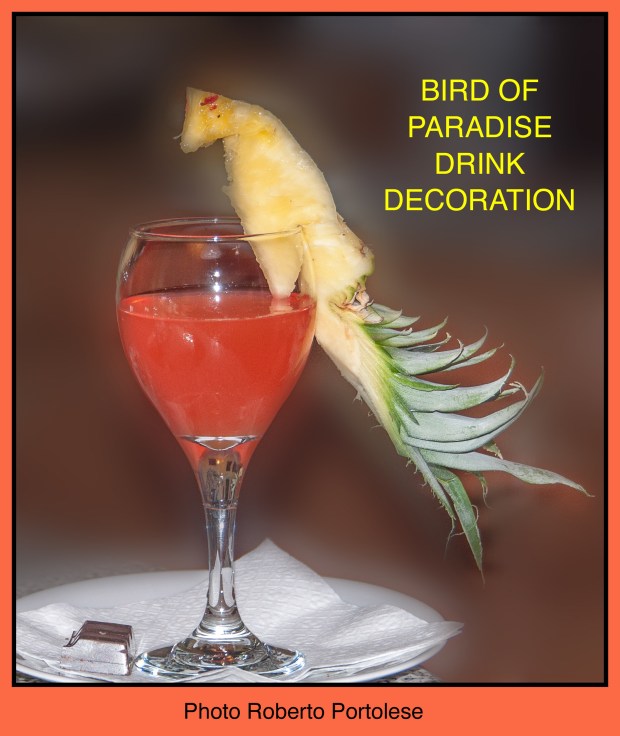 BirdOfParadiseDrinkDecoration1